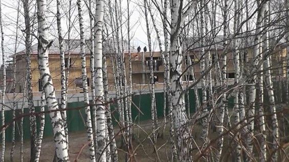 На Мишустина бросают  qtdiqkdiqukidttkmp